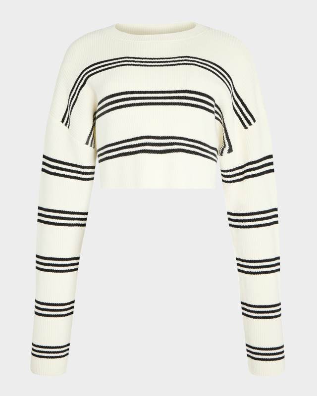 Sharlie Striped Knit Sweater